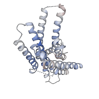 26598_7um6_A_v1-1
CryoEM structure of Go-coupled 5-HT5AR in complex with Lisuride