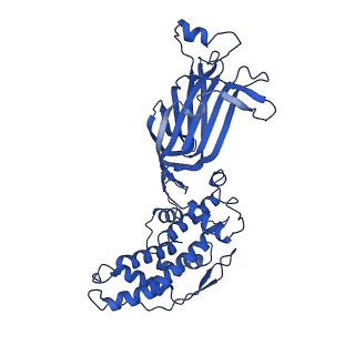 26608_7ums_B_v1-3
Structure of the VP5*/VP8* assembly from the human rotavirus strain CDC-9 in complex with antibody 41 - Upright conformation