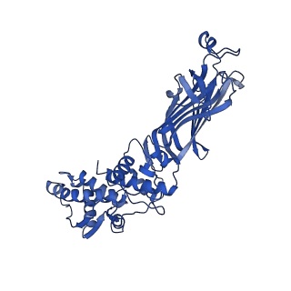 26608_7ums_E_v1-3
Structure of the VP5*/VP8* assembly from the human rotavirus strain CDC-9 in complex with antibody 41 - Upright conformation