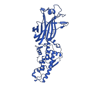 26608_7ums_F_v1-3
Structure of the VP5*/VP8* assembly from the human rotavirus strain CDC-9 in complex with antibody 41 - Upright conformation