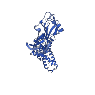 26608_7ums_G_v1-3
Structure of the VP5*/VP8* assembly from the human rotavirus strain CDC-9 in complex with antibody 41 - Upright conformation