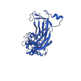 26608_7ums_J_v1-3
Structure of the VP5*/VP8* assembly from the human rotavirus strain CDC-9 in complex with antibody 41 - Upright conformation