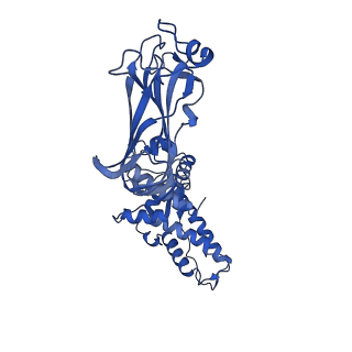 26608_7ums_O_v1-3
Structure of the VP5*/VP8* assembly from the human rotavirus strain CDC-9 in complex with antibody 41 - Upright conformation