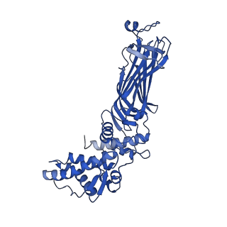 26608_7ums_Q_v1-3
Structure of the VP5*/VP8* assembly from the human rotavirus strain CDC-9 in complex with antibody 41 - Upright conformation