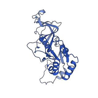 26608_7ums_i_v1-3
Structure of the VP5*/VP8* assembly from the human rotavirus strain CDC-9 in complex with antibody 41 - Upright conformation