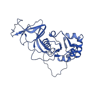 26608_7ums_l_v1-3
Structure of the VP5*/VP8* assembly from the human rotavirus strain CDC-9 in complex with antibody 41 - Upright conformation