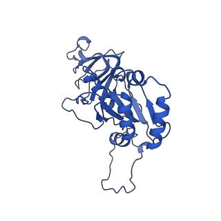 26608_7ums_n_v1-3
Structure of the VP5*/VP8* assembly from the human rotavirus strain CDC-9 in complex with antibody 41 - Upright conformation
