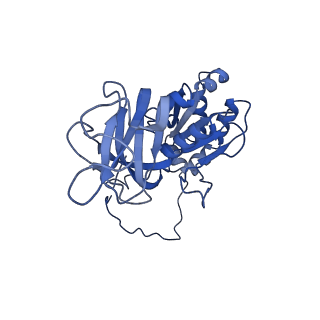 26608_7ums_o_v1-3
Structure of the VP5*/VP8* assembly from the human rotavirus strain CDC-9 in complex with antibody 41 - Upright conformation