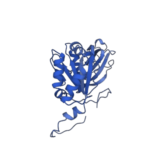 26608_7ums_q_v1-3
Structure of the VP5*/VP8* assembly from the human rotavirus strain CDC-9 in complex with antibody 41 - Upright conformation