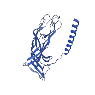 26609_7umt_1_v1-3
Structure of the VP5*/VP8* assembly from the human rotavirus strain CDC-9 - Reversed conformation
