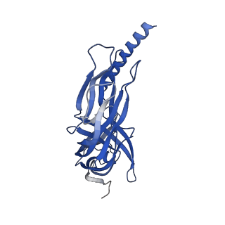 26609_7umt_2_v1-3
Structure of the VP5*/VP8* assembly from the human rotavirus strain CDC-9 - Reversed conformation