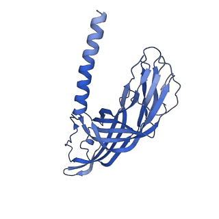 26609_7umt_3_v1-3
Structure of the VP5*/VP8* assembly from the human rotavirus strain CDC-9 - Reversed conformation