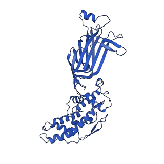 26609_7umt_B_v1-3
Structure of the VP5*/VP8* assembly from the human rotavirus strain CDC-9 - Reversed conformation