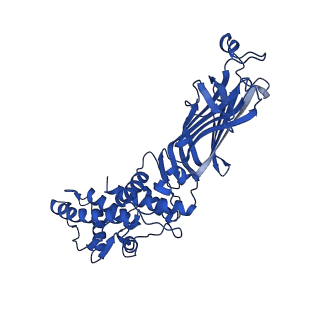 26609_7umt_E_v1-3
Structure of the VP5*/VP8* assembly from the human rotavirus strain CDC-9 - Reversed conformation