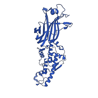 26609_7umt_F_v1-3
Structure of the VP5*/VP8* assembly from the human rotavirus strain CDC-9 - Reversed conformation