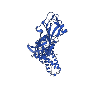 26609_7umt_G_v1-3
Structure of the VP5*/VP8* assembly from the human rotavirus strain CDC-9 - Reversed conformation