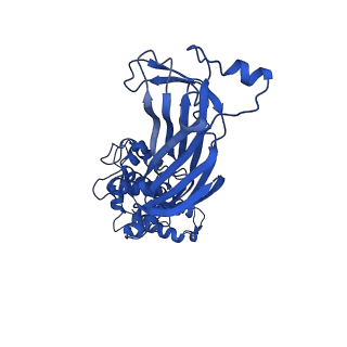 26609_7umt_J_v1-3
Structure of the VP5*/VP8* assembly from the human rotavirus strain CDC-9 - Reversed conformation