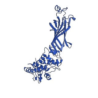 26609_7umt_K_v1-3
Structure of the VP5*/VP8* assembly from the human rotavirus strain CDC-9 - Reversed conformation