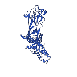 26609_7umt_O_v1-3
Structure of the VP5*/VP8* assembly from the human rotavirus strain CDC-9 - Reversed conformation