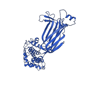 26609_7umt_P_v1-3
Structure of the VP5*/VP8* assembly from the human rotavirus strain CDC-9 - Reversed conformation