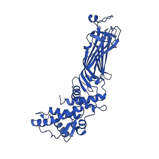 26609_7umt_Q_v1-3
Structure of the VP5*/VP8* assembly from the human rotavirus strain CDC-9 - Reversed conformation