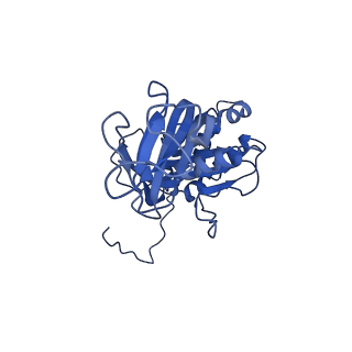 26609_7umt_a_v1-3
Structure of the VP5*/VP8* assembly from the human rotavirus strain CDC-9 - Reversed conformation