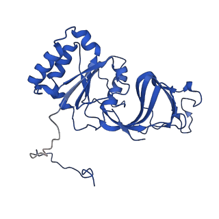 26609_7umt_b_v1-3
Structure of the VP5*/VP8* assembly from the human rotavirus strain CDC-9 - Reversed conformation