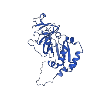 26609_7umt_c_v1-3
Structure of the VP5*/VP8* assembly from the human rotavirus strain CDC-9 - Reversed conformation