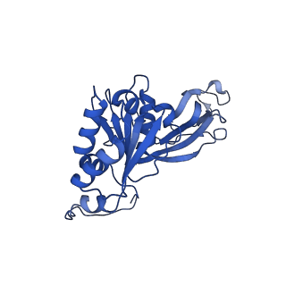 26609_7umt_e_v1-3
Structure of the VP5*/VP8* assembly from the human rotavirus strain CDC-9 - Reversed conformation