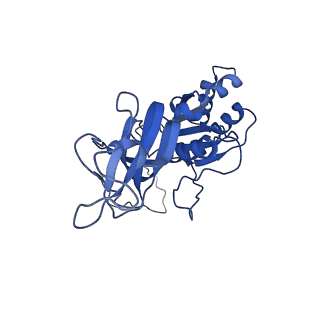 26609_7umt_g_v1-3
Structure of the VP5*/VP8* assembly from the human rotavirus strain CDC-9 - Reversed conformation