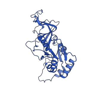 26609_7umt_i_v1-3
Structure of the VP5*/VP8* assembly from the human rotavirus strain CDC-9 - Reversed conformation