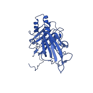 26609_7umt_j_v1-3
Structure of the VP5*/VP8* assembly from the human rotavirus strain CDC-9 - Reversed conformation