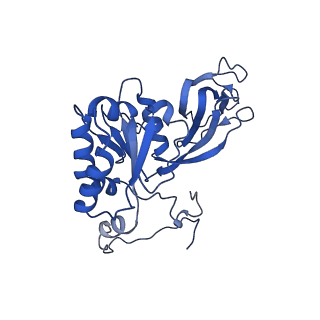 26609_7umt_k_v1-3
Structure of the VP5*/VP8* assembly from the human rotavirus strain CDC-9 - Reversed conformation
