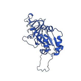 26609_7umt_n_v1-3
Structure of the VP5*/VP8* assembly from the human rotavirus strain CDC-9 - Reversed conformation
