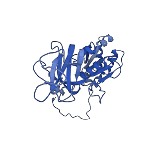 26609_7umt_o_v1-3
Structure of the VP5*/VP8* assembly from the human rotavirus strain CDC-9 - Reversed conformation