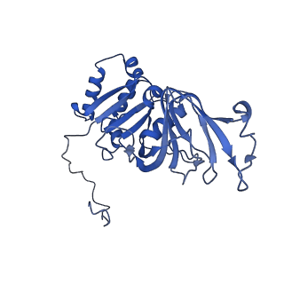 26609_7umt_p_v1-3
Structure of the VP5*/VP8* assembly from the human rotavirus strain CDC-9 - Reversed conformation