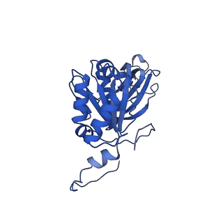 26609_7umt_q_v1-3
Structure of the VP5*/VP8* assembly from the human rotavirus strain CDC-9 - Reversed conformation