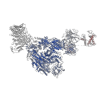 26610_7umz_A_v1-0
Cryo-EM structure of rabbit RyR1 in the presence of high Mg2+ and AMP-PCP in nanodisc