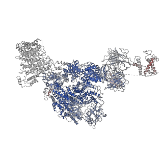 26610_7umz_A_v2-0
Cryo-EM structure of rabbit RyR1 in the presence of high Mg2+ and AMP-PCP in nanodisc