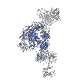 26610_7umz_B_v1-0
Cryo-EM structure of rabbit RyR1 in the presence of high Mg2+ and AMP-PCP in nanodisc