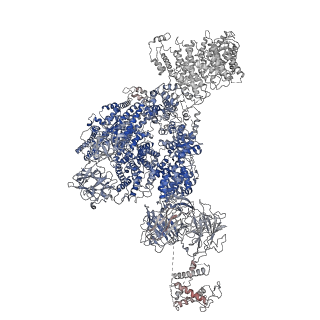 26610_7umz_B_v2-0
Cryo-EM structure of rabbit RyR1 in the presence of high Mg2+ and AMP-PCP in nanodisc