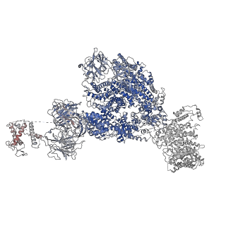 26610_7umz_C_v1-0
Cryo-EM structure of rabbit RyR1 in the presence of high Mg2+ and AMP-PCP in nanodisc