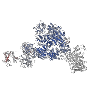 26610_7umz_C_v2-0
Cryo-EM structure of rabbit RyR1 in the presence of high Mg2+ and AMP-PCP in nanodisc