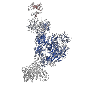 26610_7umz_D_v2-0
Cryo-EM structure of rabbit RyR1 in the presence of high Mg2+ and AMP-PCP in nanodisc