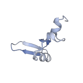 8576_5umd_0_v1-4
Structure of the Plasmodium falciparum 80S ribosome bound to the antimalarial drug mefloquine