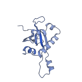 8576_5umd_1_v1-4
Structure of the Plasmodium falciparum 80S ribosome bound to the antimalarial drug mefloquine