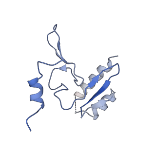 8576_5umd_2_v1-4
Structure of the Plasmodium falciparum 80S ribosome bound to the antimalarial drug mefloquine