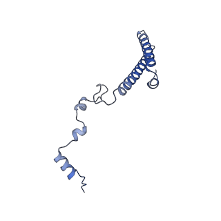 8576_5umd_3_v1-4
Structure of the Plasmodium falciparum 80S ribosome bound to the antimalarial drug mefloquine