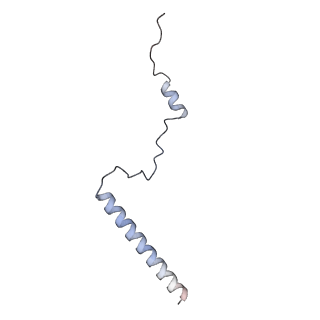 8576_5umd_4_v1-4
Structure of the Plasmodium falciparum 80S ribosome bound to the antimalarial drug mefloquine
