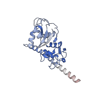 8576_5umd_5_v1-4
Structure of the Plasmodium falciparum 80S ribosome bound to the antimalarial drug mefloquine
